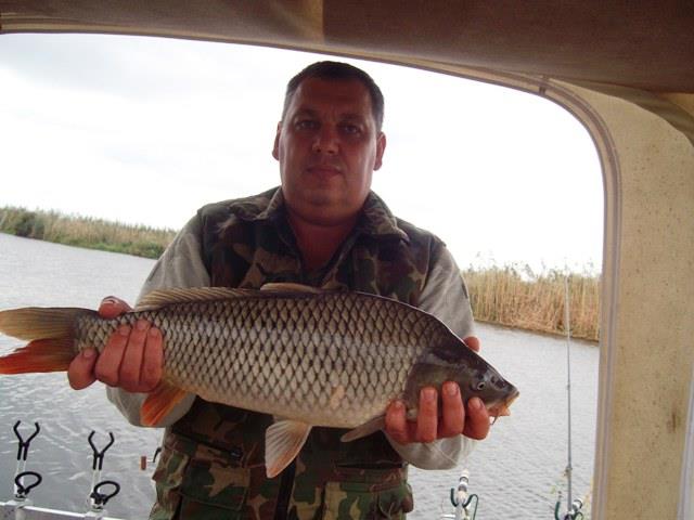 delta rosu 2010 - sany1194.JPG